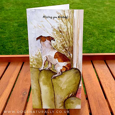 Missing You Jack Russell Dog Lover Card
